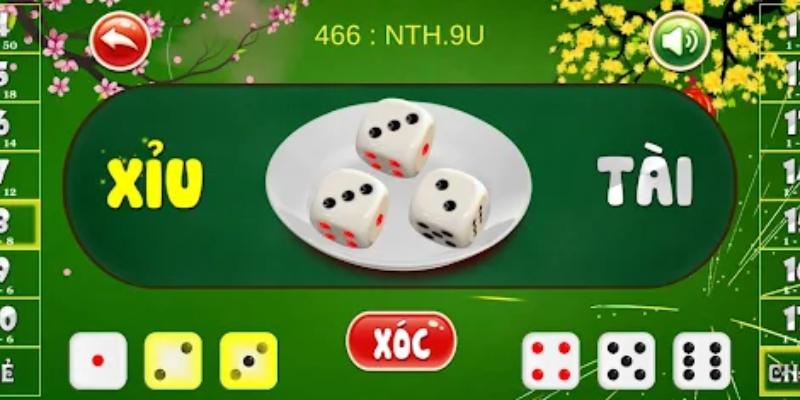 Thắng lớn nhờ áp dụng chiến thuật cược đỉnh cao từ cao thủ