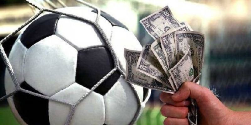 Đặt có chiến lược, tránh chọn bừa theo cảm tính