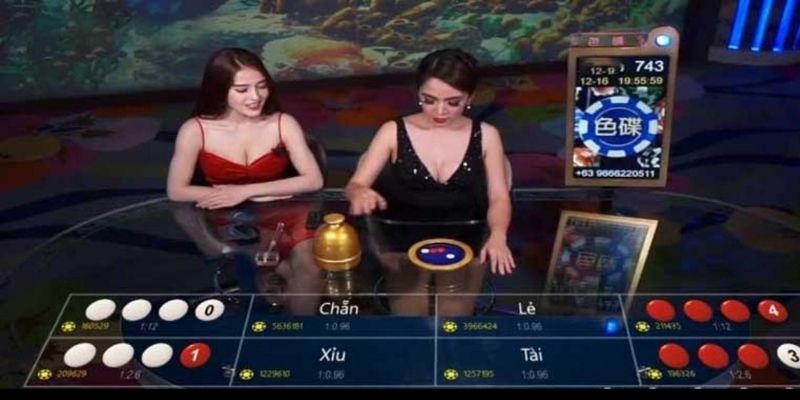 Điểm khác nhau giữa hai phiên bản xóc đĩa là gì?